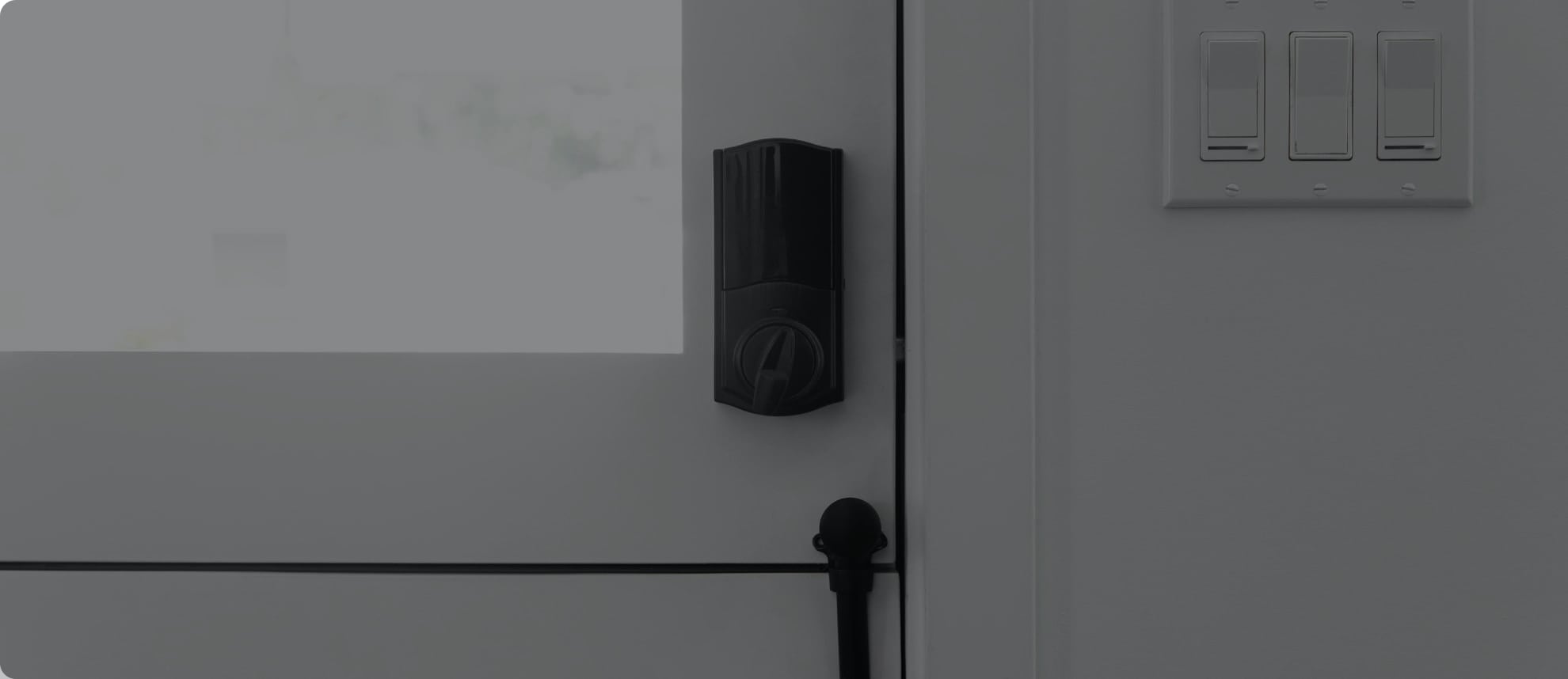 Vivint Smart Lock in St. Petersburg