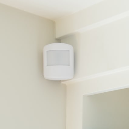 St. Petersburg motion sensor