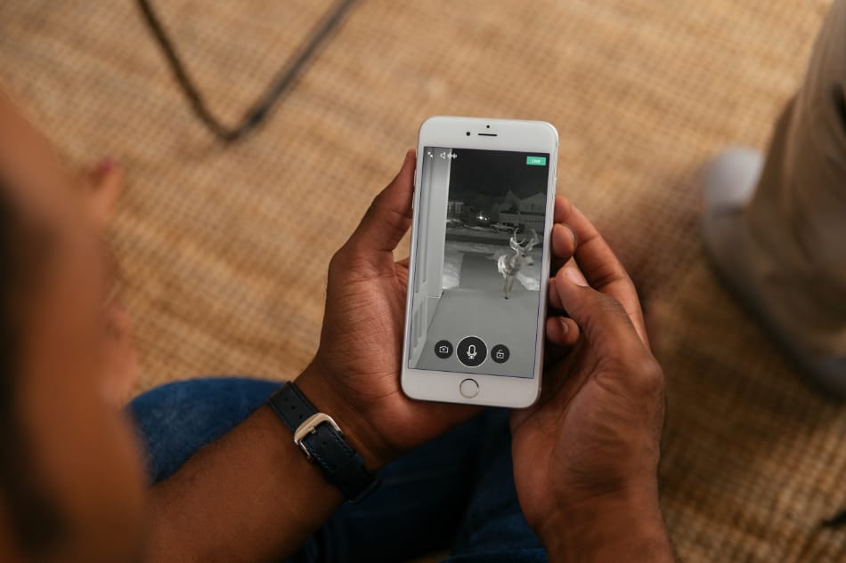 Nokomis FL security system